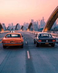 Mercury Cougar &amp; Ford Mustang