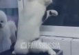 *