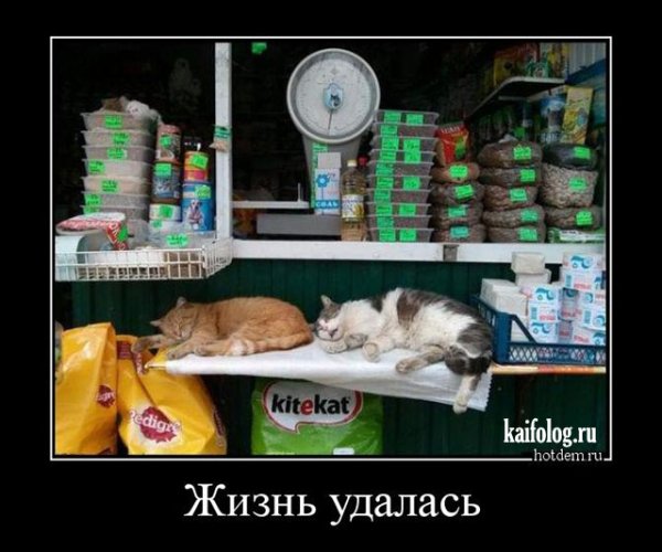 file_101089446