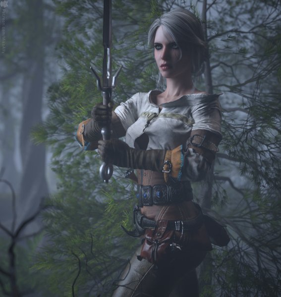 Ciri 868569345899657 Camera+1