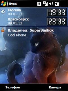 cat