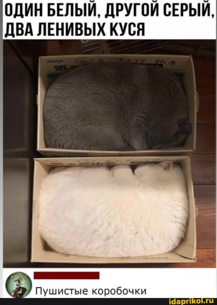 0b64ad07696b0c9b6b9766e3177f3d539683ff2c1eccb381b2 1