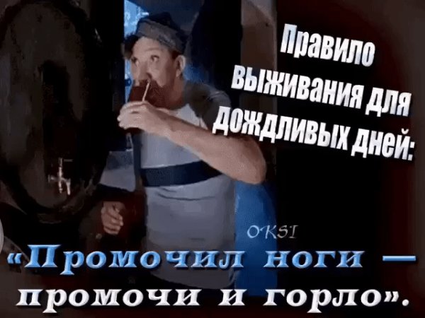 IMG 20230306 041752