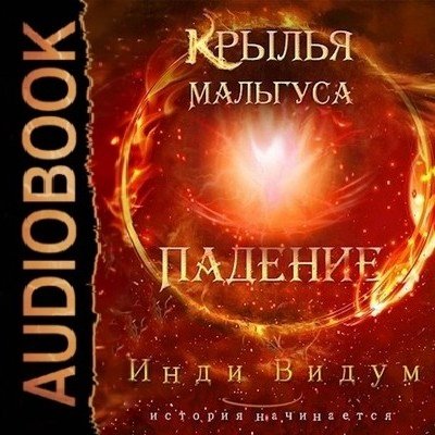 Indi Vidum.-KM 01-.Krylja Mal&apos;gusa.Padenie.(AWB)