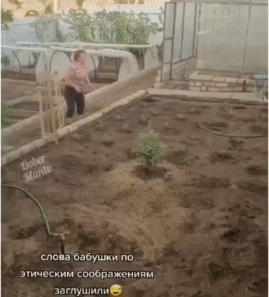 IMG 20230330 002955