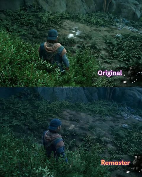 Days Gone
