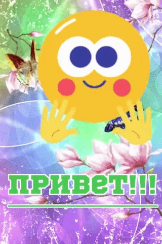 file_93443913