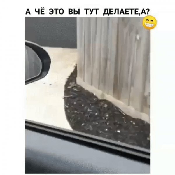 IMG 20230316 014702