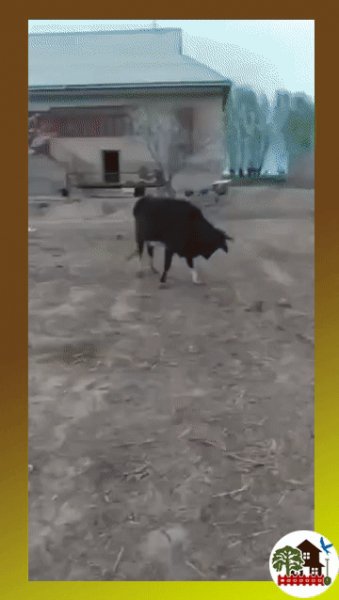 IMG 20230518 000644