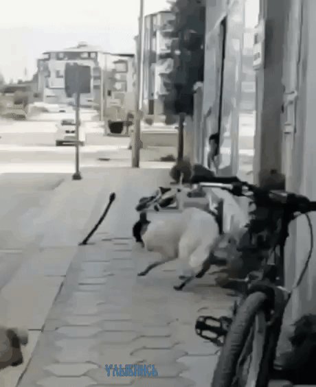 Гроза района