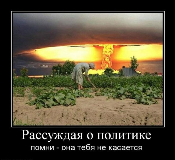 file_101008803