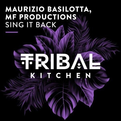 Maurizio Basilotta &amp; MF Productions - Spacer