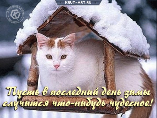 file_92883673
