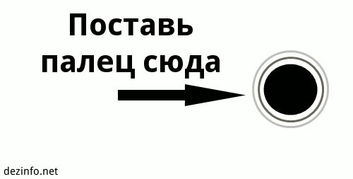 file_93811966
