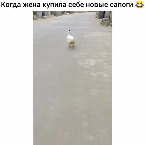 На подиуме. Класс!