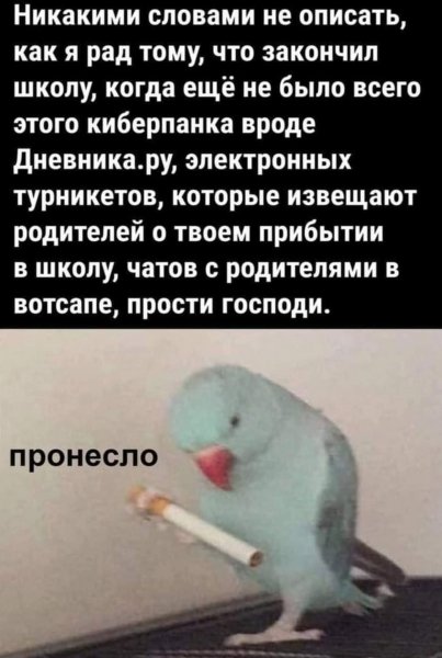 FB IMG 1760642577829