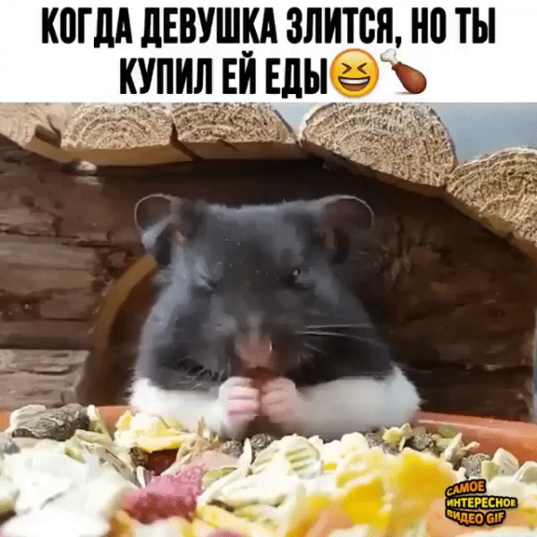 IMG 20230228 065616