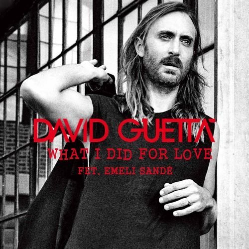 David Guetta feat. Emeli Sande - What I Did For Love (PANG! Remix)