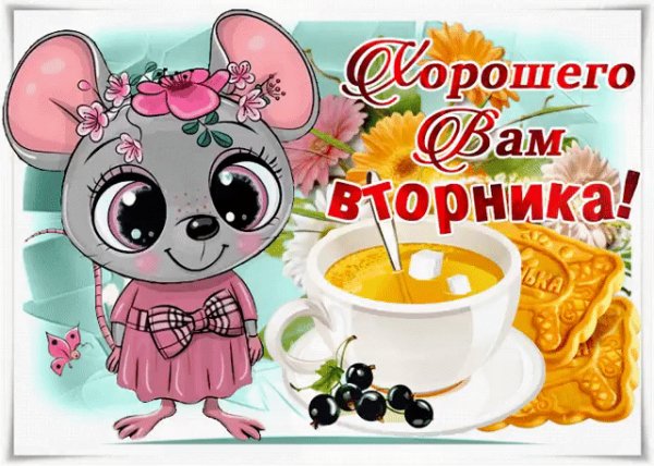 file_93154947