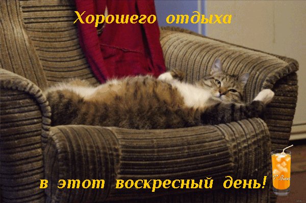 file_93196496