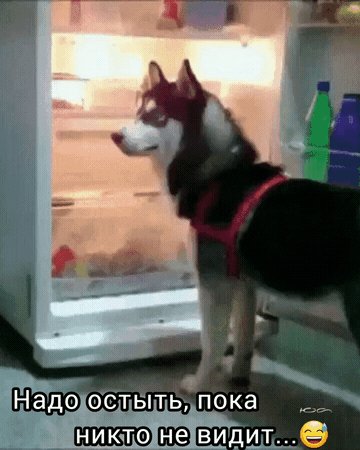 IMG 20231005 033146