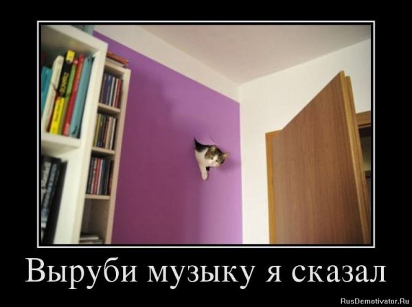 Выруби музыку я сказал
