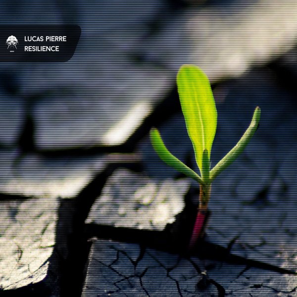 Lucas Pierre - Resilience (Original Mix)
