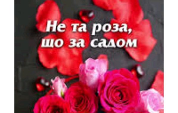 NE_TVOYA_MRIYA - Не та роза, що за садом