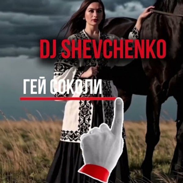 DJ Шевченко - Гей соколи