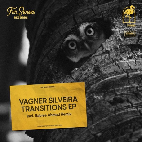 Vagner Silveira - Transitions (Rabiee Ahmad Remix)