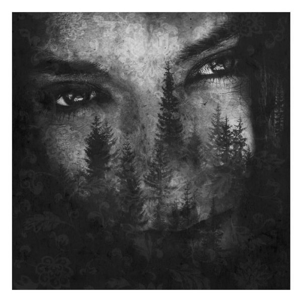 Lustre - Part 5 (The Ashes Of Light)