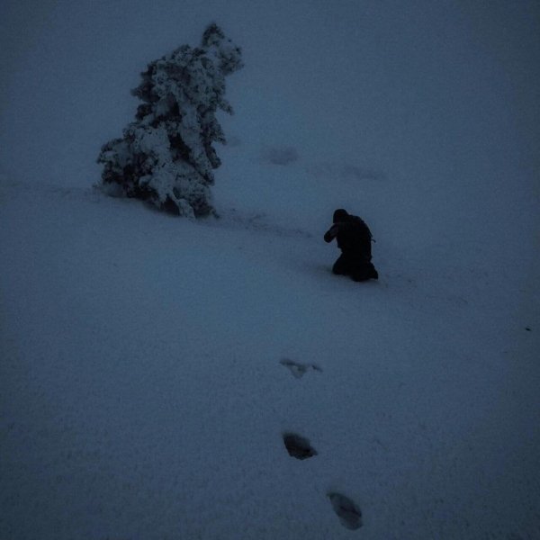 McKenzie Hills - Eltigen