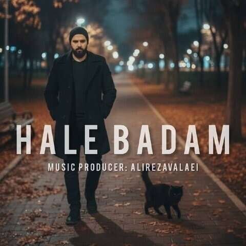 Alireza Valaei - Hale Badam