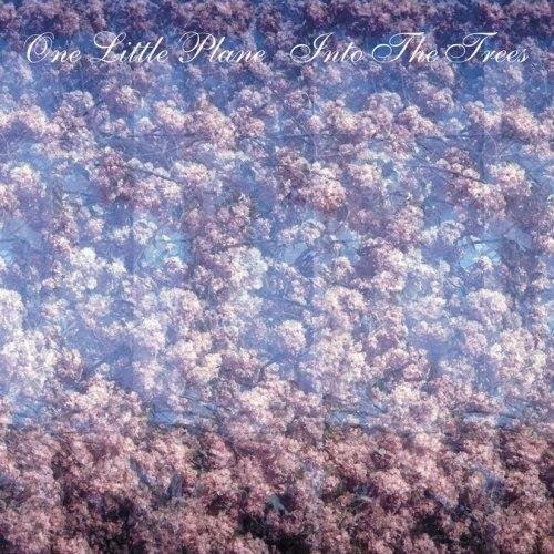 One Little Plane - Hold You Down