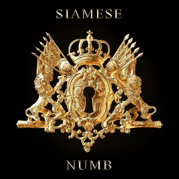 Siamese - Numb