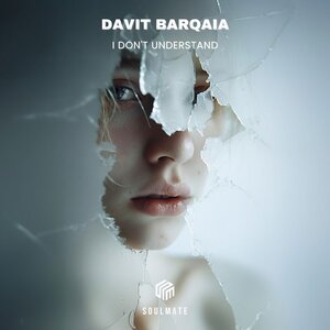 Davit Barqaia - I Don&apos;t Understand