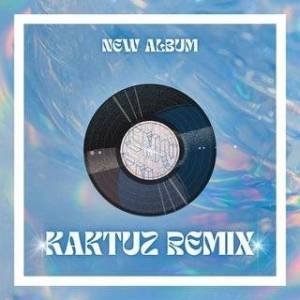 DJ KaktuZ - KaktuZ RemiX (2024)