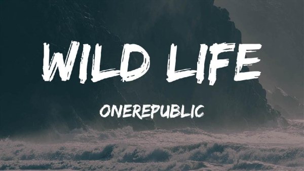 OneRepublic - Wild_Life