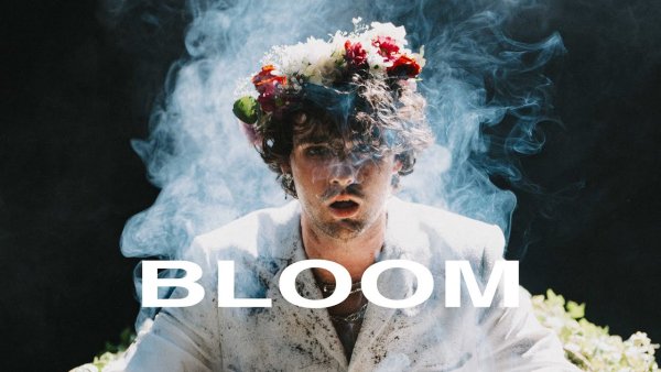 IMPVLSE - bloom