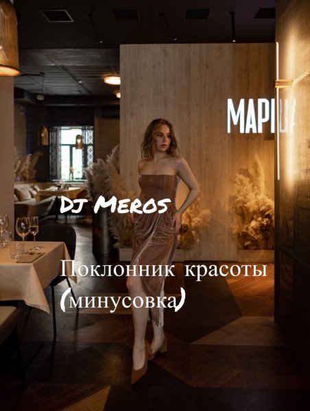 Dj Meros - Поклонник красоты (Минусовка)