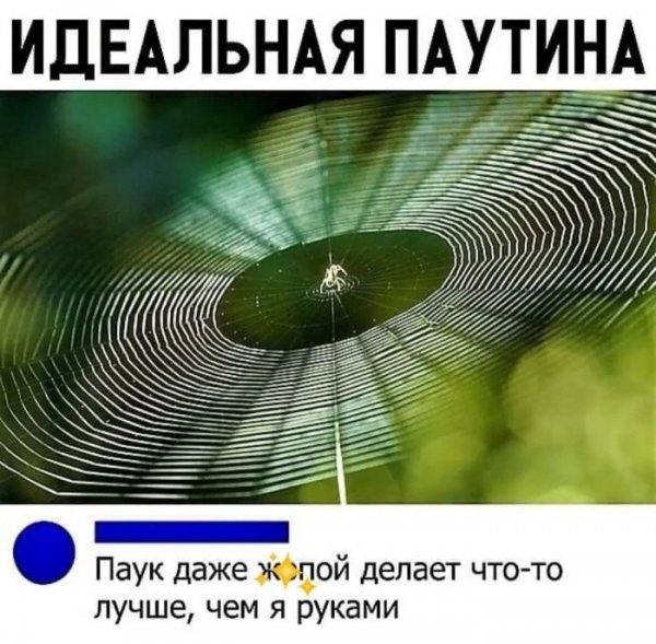 Naschet-togo-chtoby-sdelat-jetot-den-chutochku-veselee-13