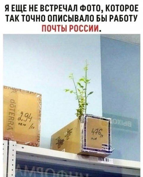Почта