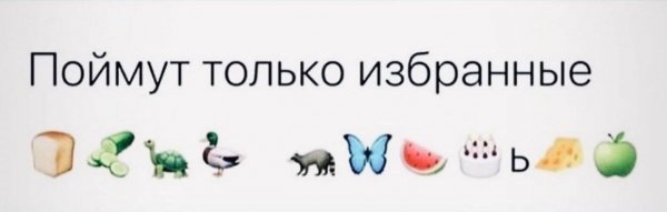 IMG 20251019 022723 246