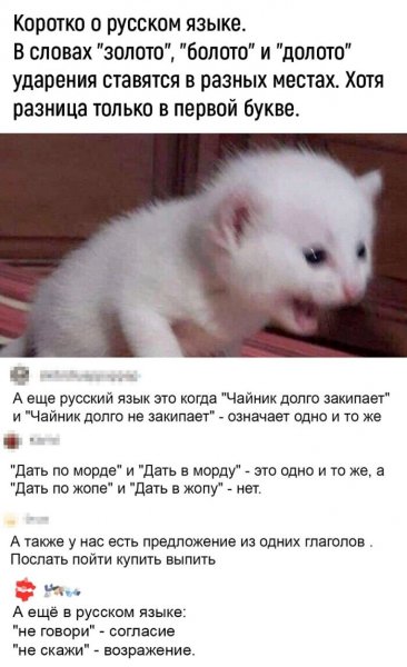 Togo-chtoby-sdelat-jetot-den-chutochku-veselee-14