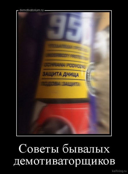 picture_398507301