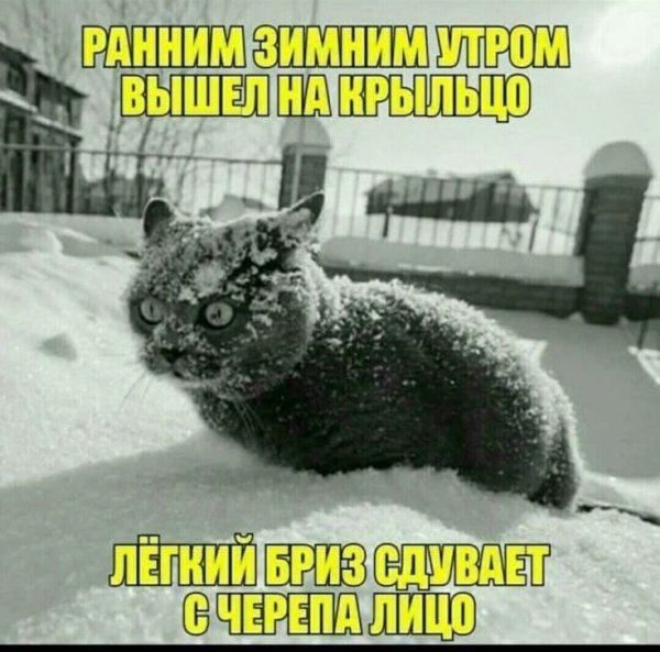 Легкий бриз )