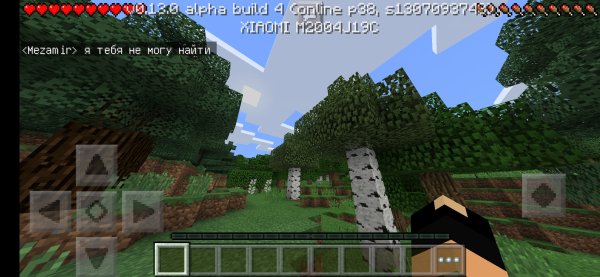 Screenshot 2025-07-16-13-16-19-254 com.mojang.minecraftpe