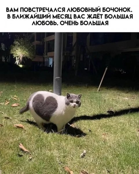 Любовный бочонок)