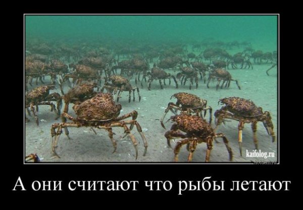 picture_399325800