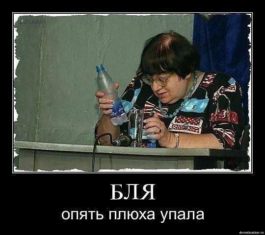 picture_398533061